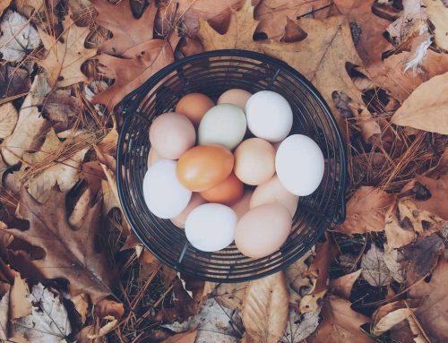 Get the Facts: The Benefits of Cholesterol